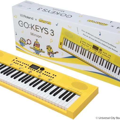 roland go keys 3 minions